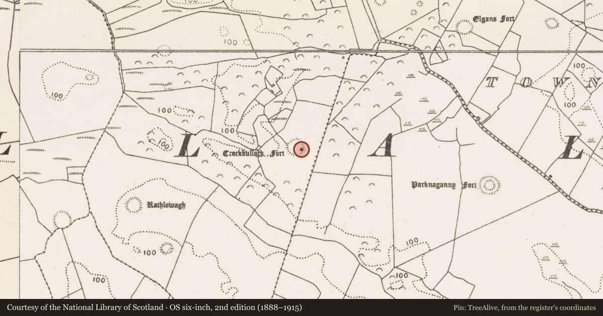 Ordnance Survey six-inch map, 2nd edition (1888–1915) covering the location of House - indeterminate date, Townplots West, County Mayo, with a pin at the register's coordinates