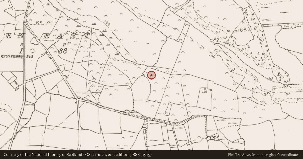 Ordnance Survey six-inch map, 2nd edition (1888–1915) covering the location of Ringfort - rath, Tawnaghmore Lower, County Mayo, with a pin at the register's coordinates