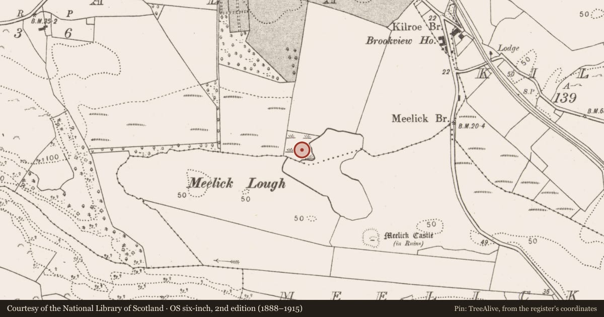 Ordnance Survey six-inch map, 2nd edition (1888–1915) covering the location of Crannog, Killala, County Mayo, with a pin at the register's coordinates