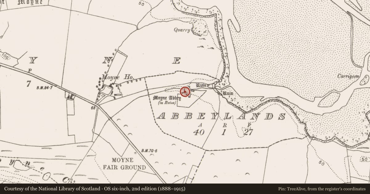 Ordnance Survey six-inch map, 2nd edition (1888–1915) covering the location of Religious house - Franciscan friars, Abbeylands, County Mayo, with a pin at the register's coordinates