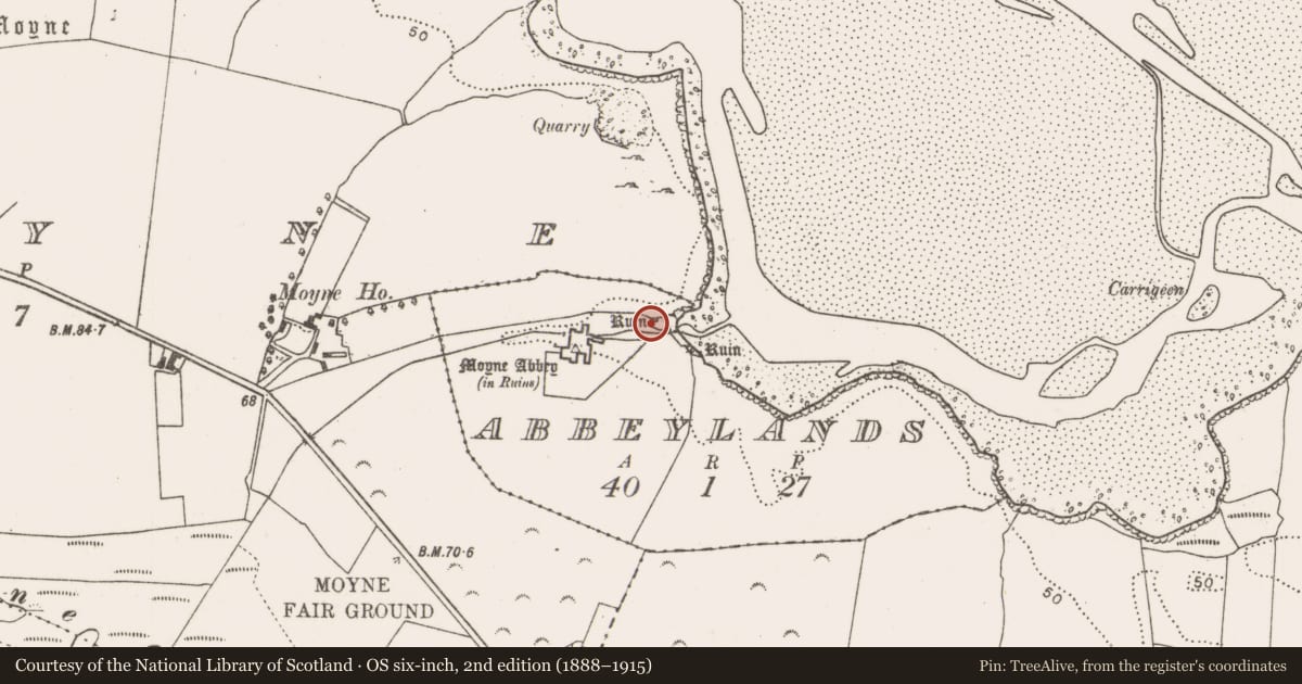Ordnance Survey six-inch map, 2nd edition (1888–1915) covering the location of Hospital, Abbeylands, County Mayo, with a pin at the register's coordinates