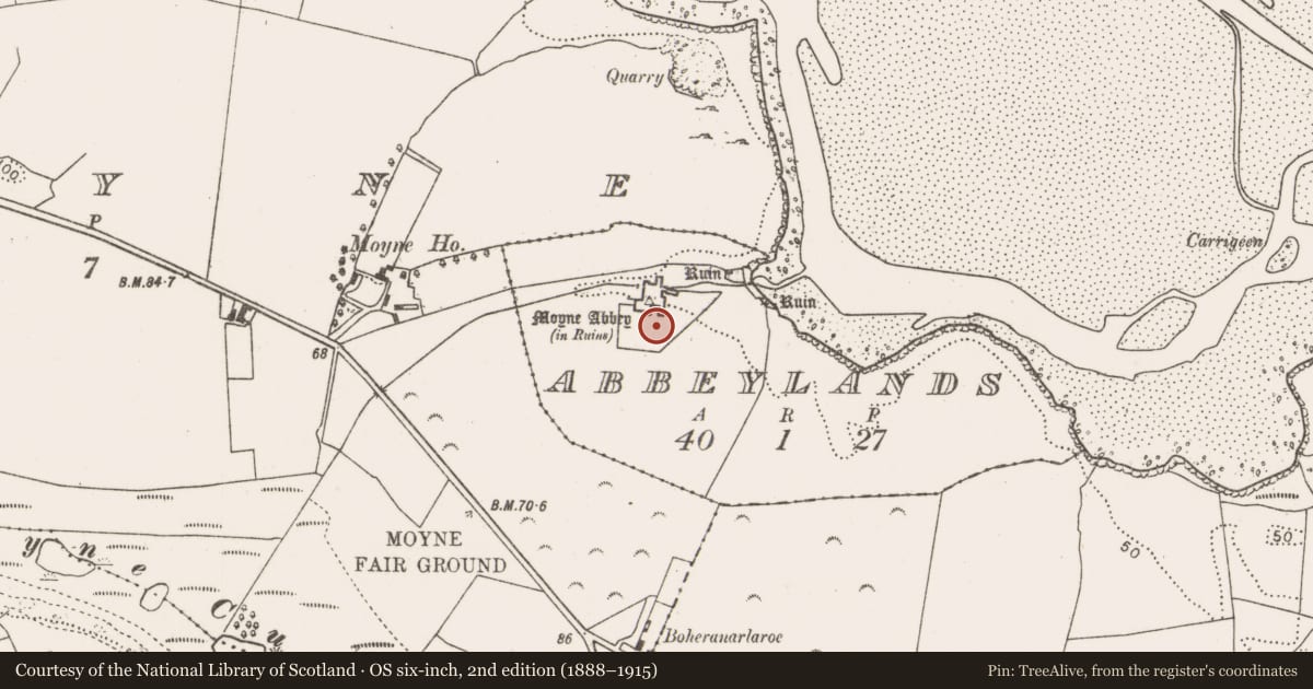 Ordnance Survey six-inch map, 2nd edition (1888–1915) covering the location of Enclosure, Abbeylands, County Mayo, with a pin at the register's coordinates