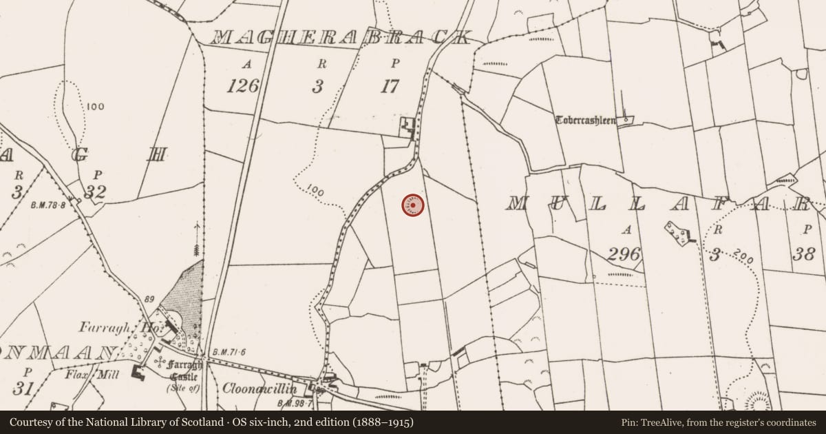 Ordnance Survey six-inch map, 2nd edition (1888–1915) covering the location of Ringfort - rath, Cloonawillin (Tirawley By., Ballykeery Par.), County Mayo, with a pin at the register's coordinates