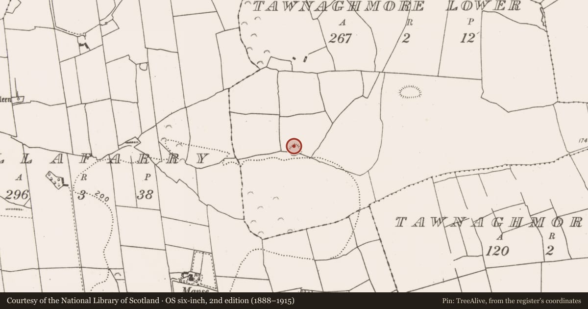 Ordnance Survey six-inch map, 2nd edition (1888–1915) covering the location of Ringfort - rath, Tawnaghmore Lower, County Mayo, with a pin at the register's coordinates