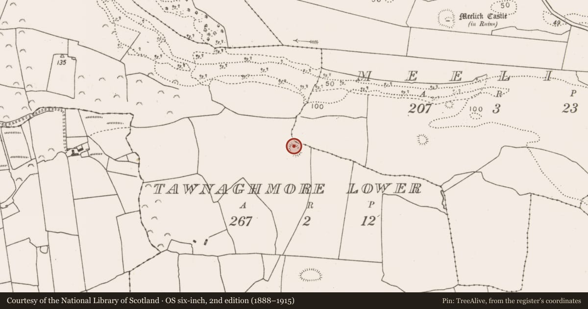 Ordnance Survey six-inch map, 2nd edition (1888–1915) covering the location of Ringfort - rath, Tawnaghmore Lower, County Mayo, with a pin at the register's coordinates