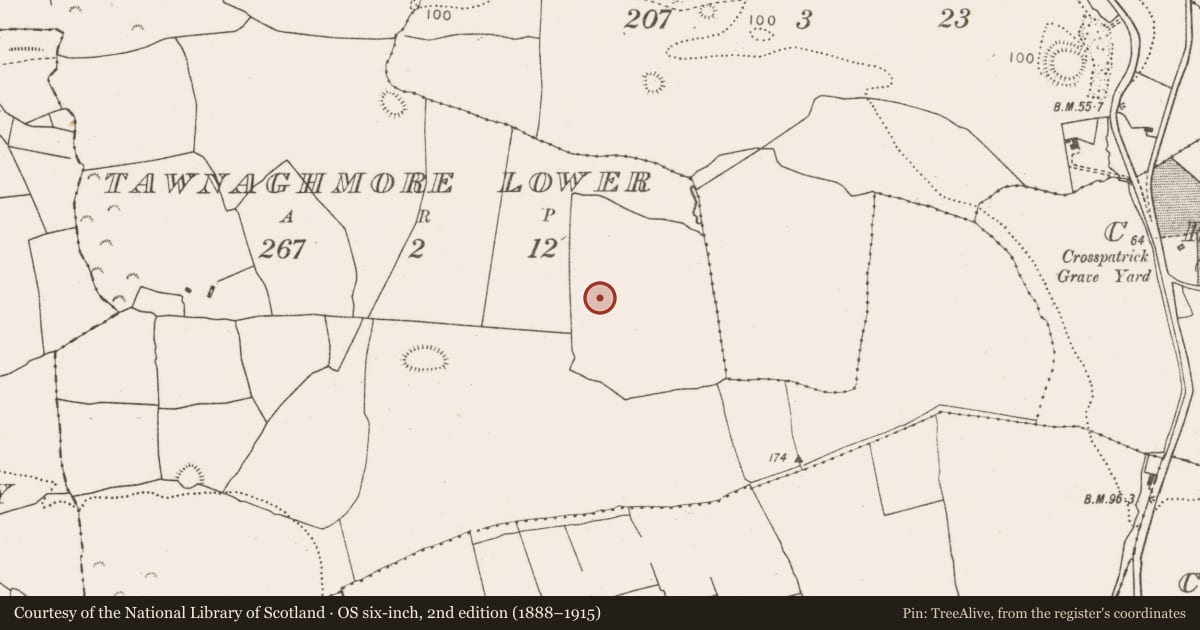 Ordnance Survey six-inch map, 2nd edition (1888–1915) covering the location of Earthwork, Tawnaghmore Lower, County Mayo, with a pin at the register's coordinates