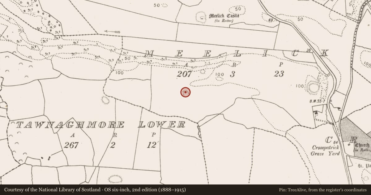 Ordnance Survey six-inch map, 2nd edition (1888–1915) covering the location of Ringfort - rath, Meelick, County Mayo, with a pin at the register's coordinates