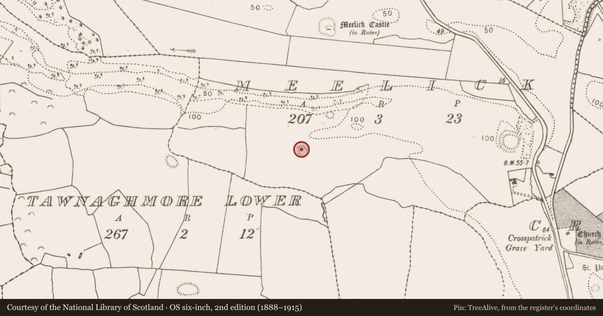 Ordnance Survey six-inch map, 2nd edition (1888–1915) covering the location of House - indeterminate date, Meelick, County Mayo, with a pin at the register's coordinates