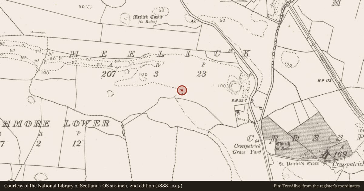 Ordnance Survey six-inch map, 2nd edition (1888–1915) covering the location of Ringfort - rath, Meelick, County Mayo, with a pin at the register's coordinates