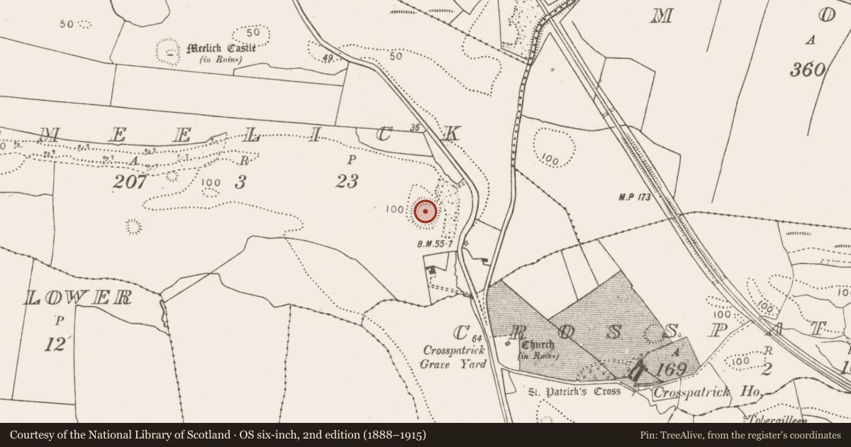 Ordnance Survey six-inch map, 2nd edition (1888–1915) covering the location of Ringfort - rath, Meelick, County Mayo, with a pin at the register's coordinates