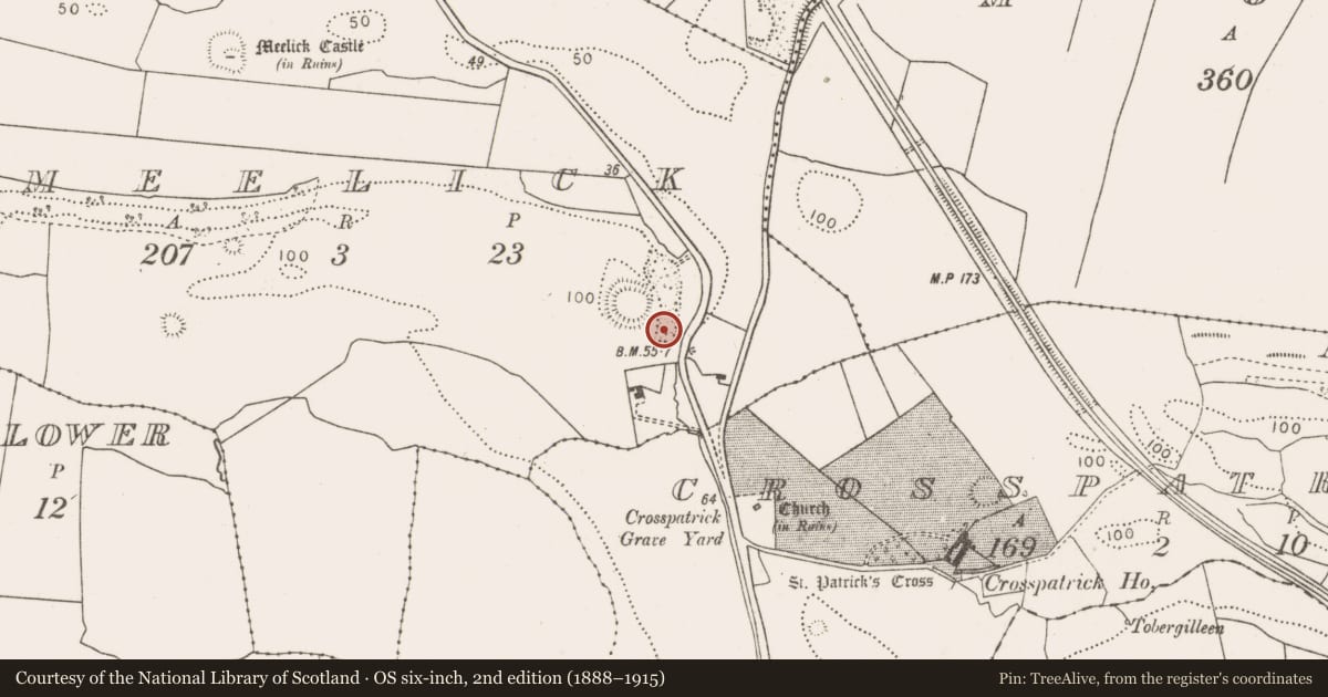 Ordnance Survey six-inch map, 2nd edition (1888–1915) covering the location of Bullaun stone, Meelick, County Mayo, with a pin at the register's coordinates