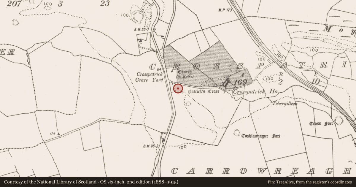 Ordnance Survey six-inch map, 2nd edition (1888–1915) covering the location of Inscribed stone, Crosspatrick, County Mayo, with a pin at the register's coordinates