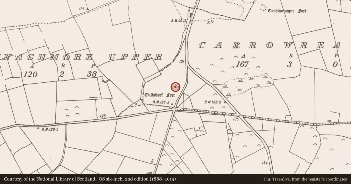 Ordnance Survey six-inch map, 2nd edition (1888–1915) covering the location of Ringfort - rath, Carrowreagh, County Mayo, with a pin at the register's coordinates