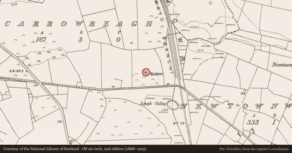 Ordnance Survey six-inch map, 2nd edition (1888–1915) covering the location of Ringfort - rath, Carrowreagh, County Mayo, with a pin at the register's coordinates