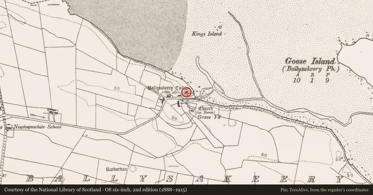 Ordnance Survey six-inch map, 2nd edition (1888–1915) covering the location of Castle - unclassified, Ballysakeery, County Mayo, with a pin at the register's coordinates