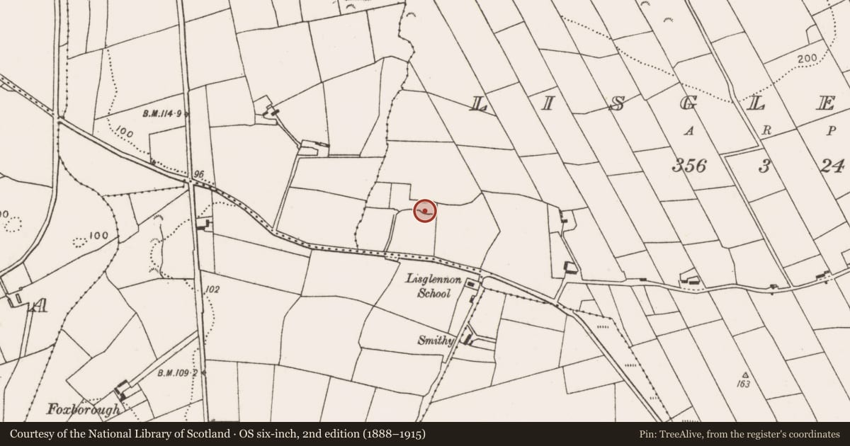 Ordnance Survey six-inch map, 2nd edition (1888–1915) covering the location of Ringfort - rath, Lisglennon, County Mayo, with a pin at the register's coordinates