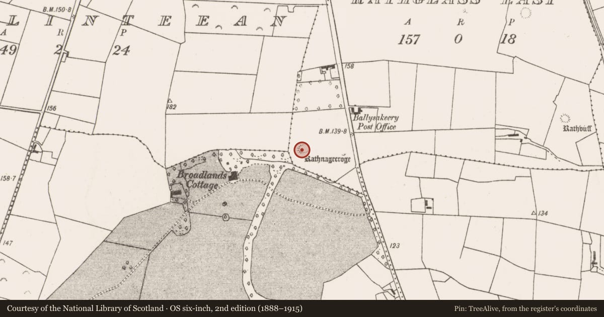 Ordnance Survey six-inch map, 2nd edition (1888–1915) covering the location of Ringfort - rath, Rathglass East, County Mayo, with a pin at the register's coordinates
