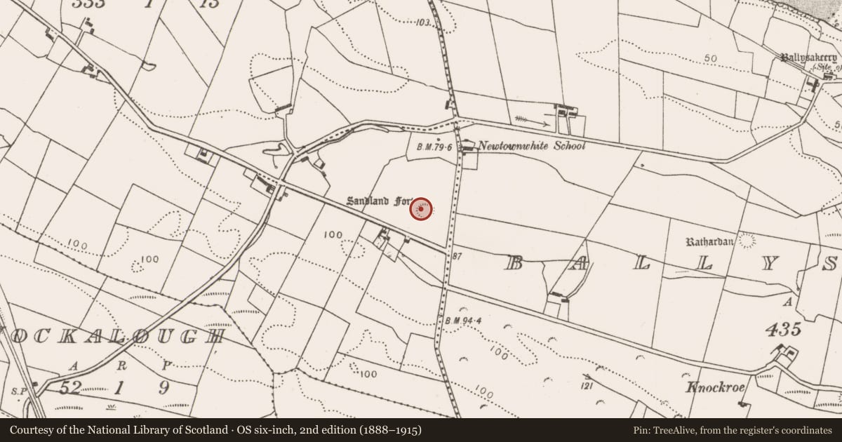 Ordnance Survey six-inch map, 2nd edition (1888–1915) covering the location of Ringfort - rath, Newtownwhite, County Mayo, with a pin at the register's coordinates