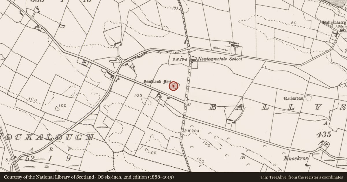 Ordnance Survey six-inch map, 2nd edition (1888–1915) covering the location of Souterrain, Newtownwhite, County Mayo, with a pin at the register's coordinates