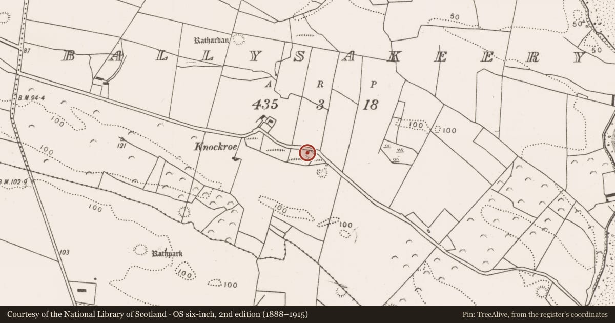Ordnance Survey six-inch map, 2nd edition (1888–1915) covering the location of Ringfort - rath, Ballysakeery, County Mayo, with a pin at the register's coordinates