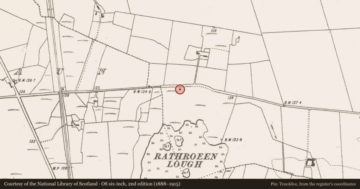 Ordnance Survey six-inch map, 2nd edition (1888–1915) covering the location of Cross-inscribed stone, Rosserk, County Mayo, with a pin at the register's coordinates
