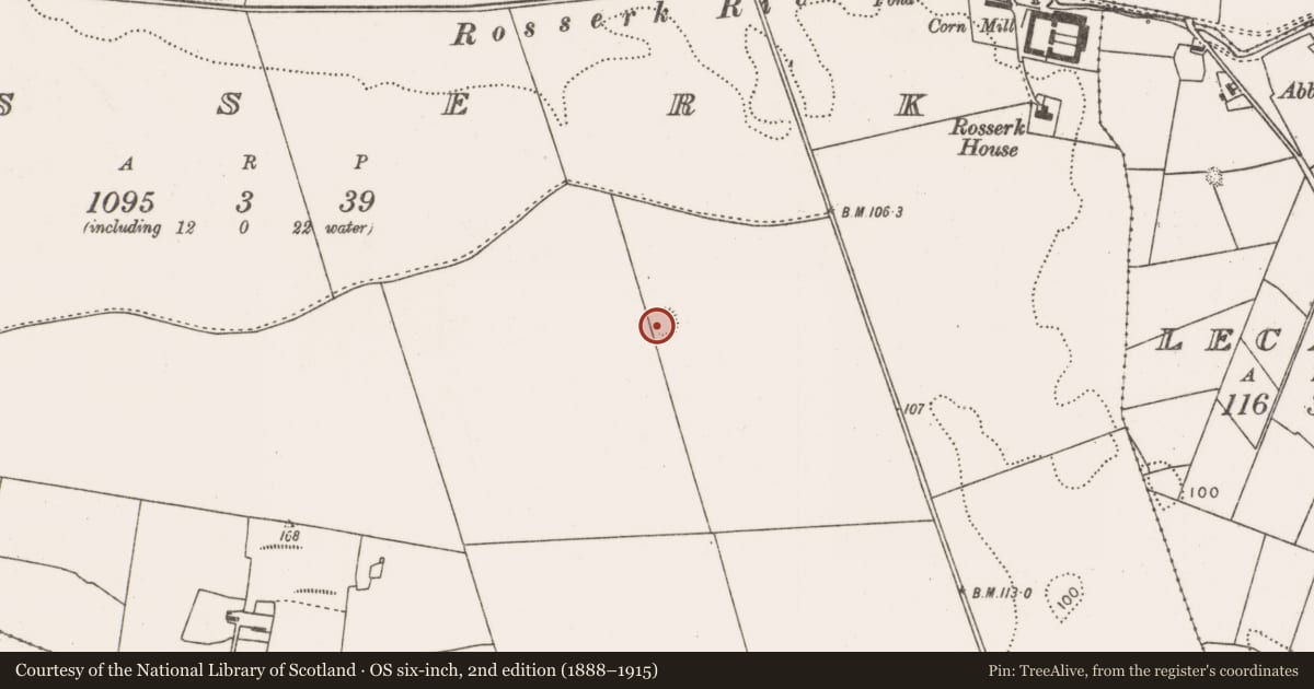Ordnance Survey six-inch map, 2nd edition (1888–1915) covering the location of Enclosure, Rosserk, County Mayo, with a pin at the register's coordinates
