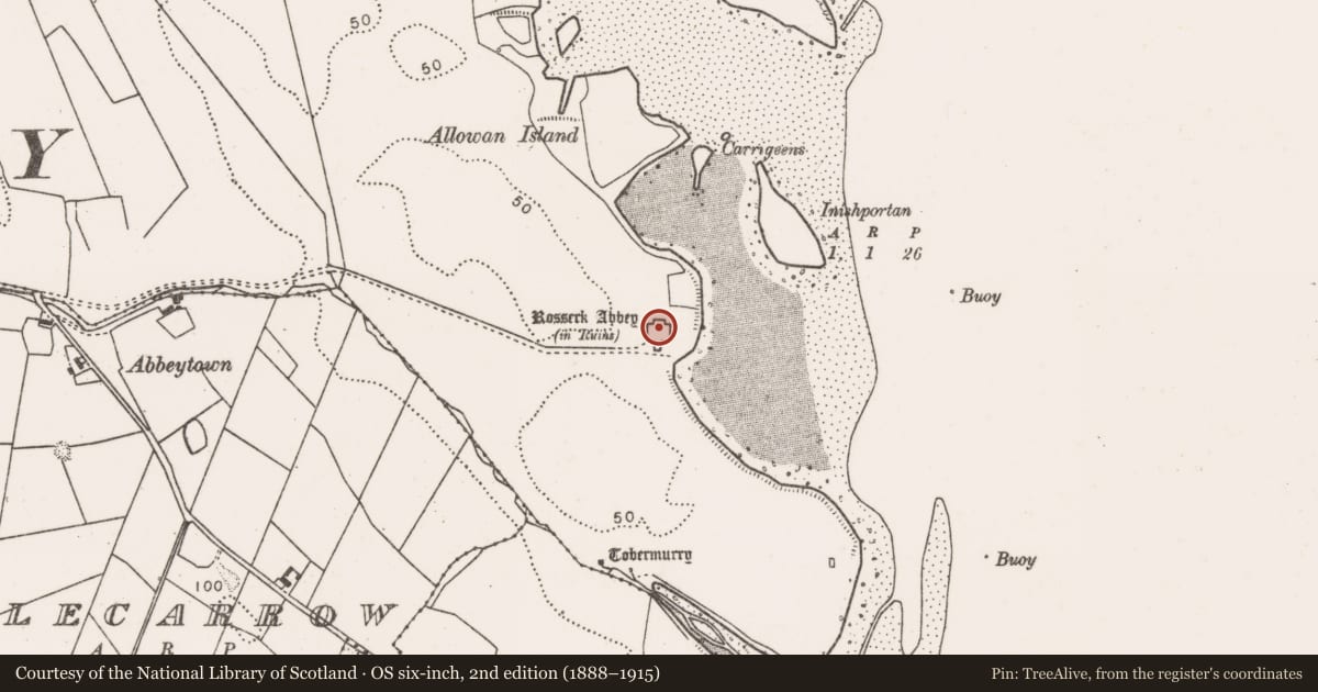 Ordnance Survey six-inch map, 2nd edition (1888–1915) covering the location of Religious house - Franciscan Third Order Regular, Rosserk, County Mayo, with a pin at the register's coordinates