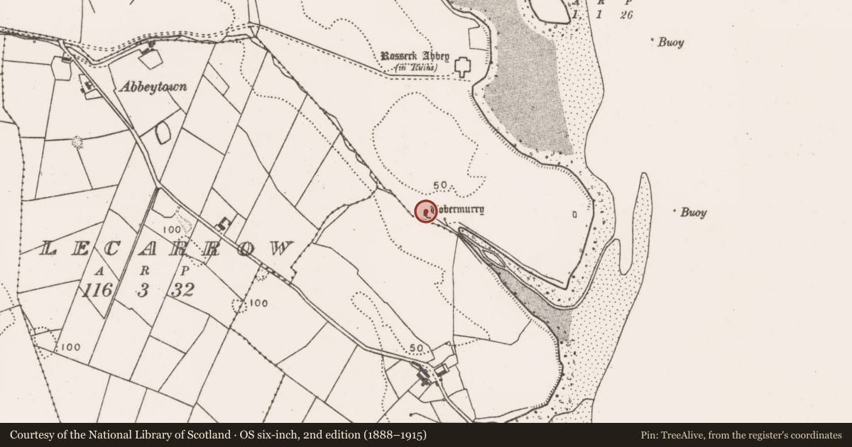 Ordnance Survey six-inch map, 2nd edition (1888–1915) covering the location of Ritual site - holy well, Rosserk, County Mayo, with a pin at the register's coordinates