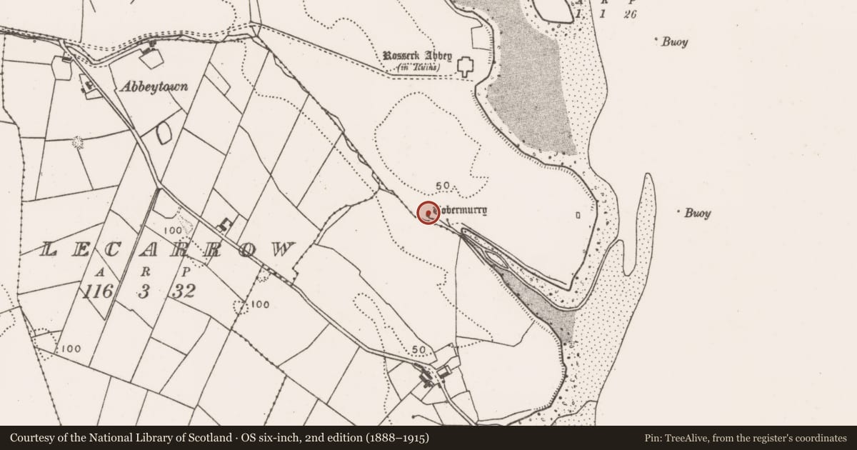 Ordnance Survey six-inch map, 2nd edition (1888–1915) covering the location of Inscribed stone, Rosserk, County Mayo, with a pin at the register's coordinates