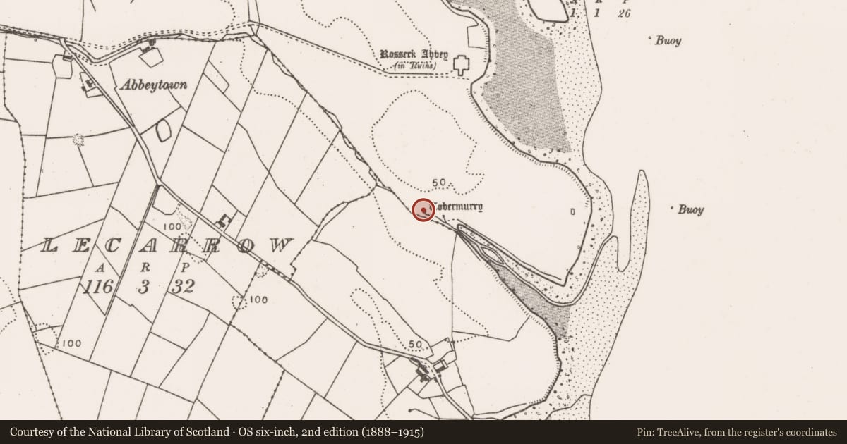 Ordnance Survey six-inch map, 2nd edition (1888–1915) covering the location of Penitential station, Rosserk, County Mayo, with a pin at the register's coordinates