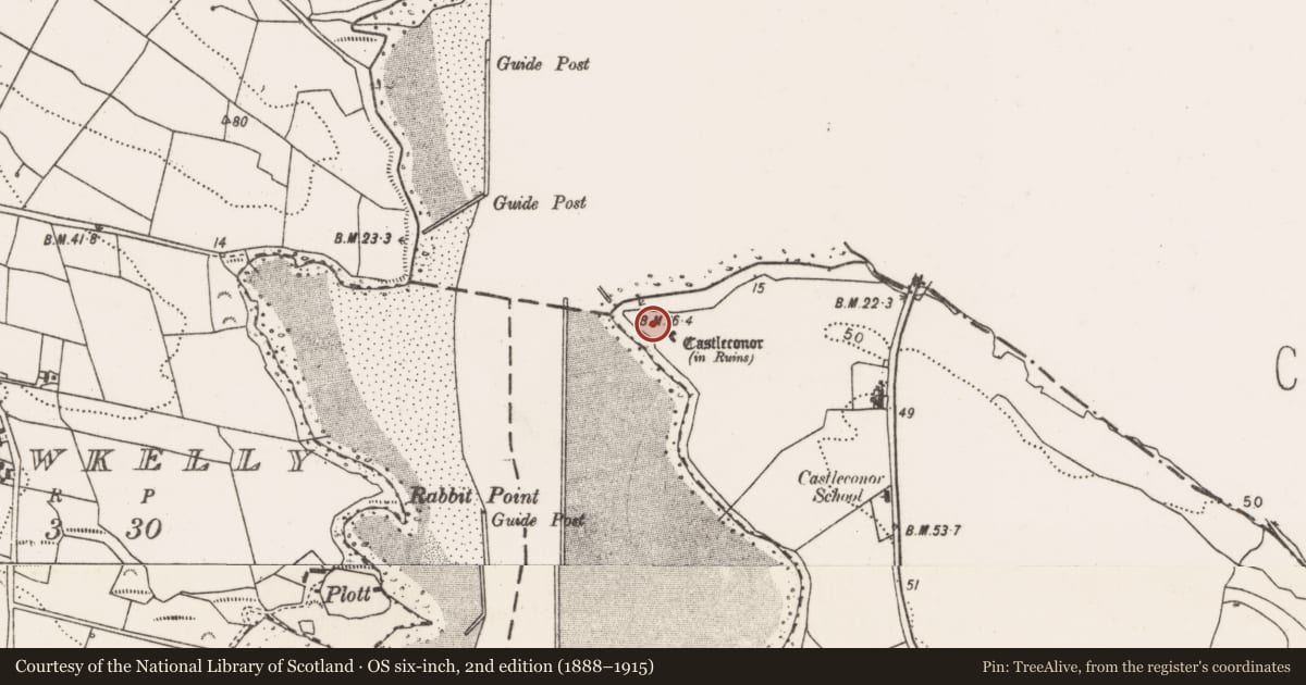 Ordnance Survey six-inch map, 2nd edition (1888–1915) covering the location of Promontory fort - inland, Castleconor, County Mayo, with a pin at the register's coordinates