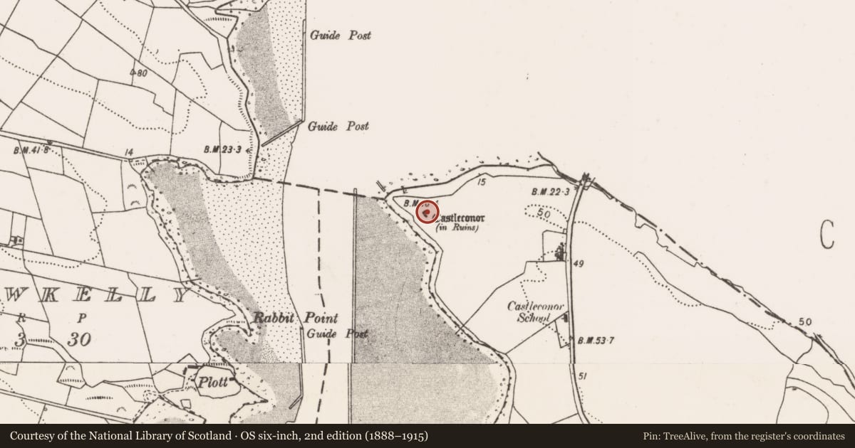 Ordnance Survey six-inch map, 2nd edition (1888–1915) covering the location of Castle - hall-house, Castleconor, County Mayo, with a pin at the register's coordinates