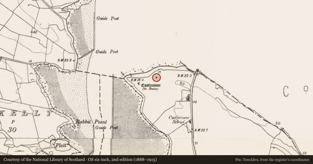 Ordnance Survey six-inch map, 2nd edition (1888–1915) covering the location of House - indeterminate date, Castleconor, County Mayo, with a pin at the register's coordinates