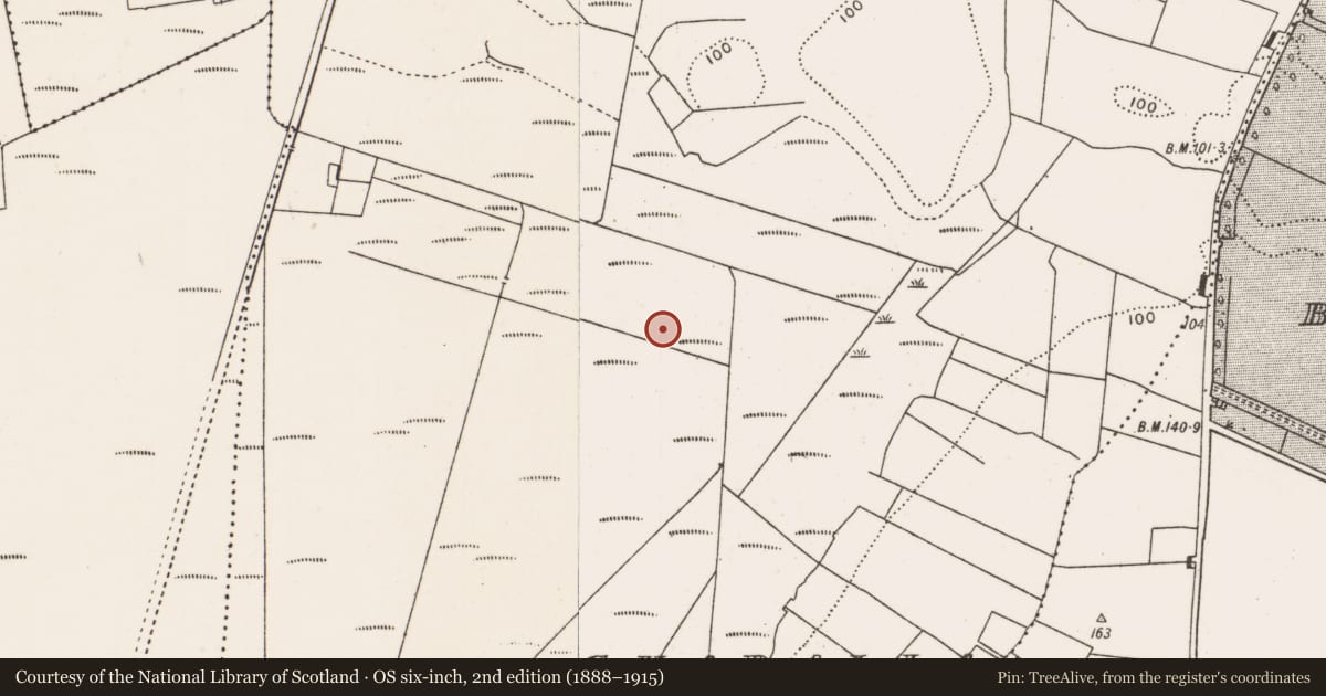 Ordnance Survey six-inch map, 2nd edition (1888–1915) covering the location of Crannog, Balloughadalla, County Mayo, with a pin at the register's coordinates
