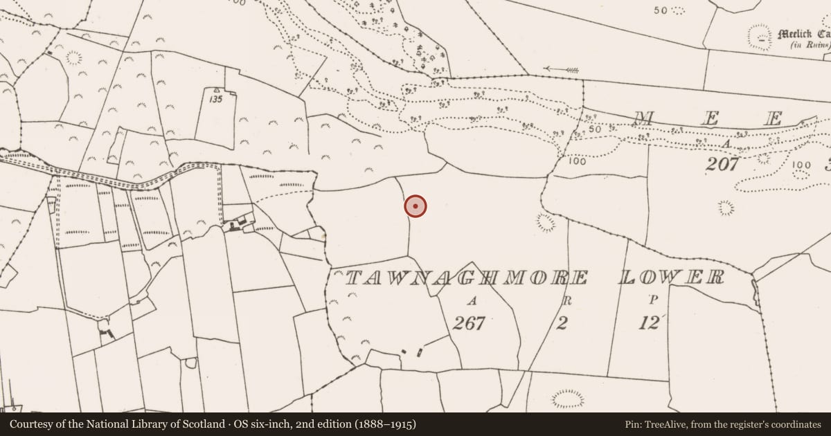 Ordnance Survey six-inch map, 2nd edition (1888–1915) covering the location of Ringfort - rath, Tawnaghmore Lower, County Mayo, with a pin at the register's coordinates