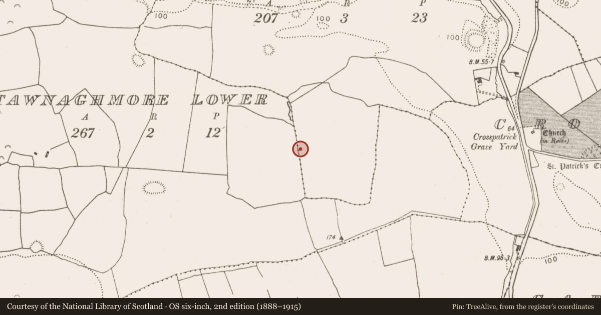 Ordnance Survey six-inch map, 2nd edition (1888–1915) covering the location of Ringfort - rath, Tawnaghmore Lower, Meelick, County Mayo, with a pin at the register's coordinates