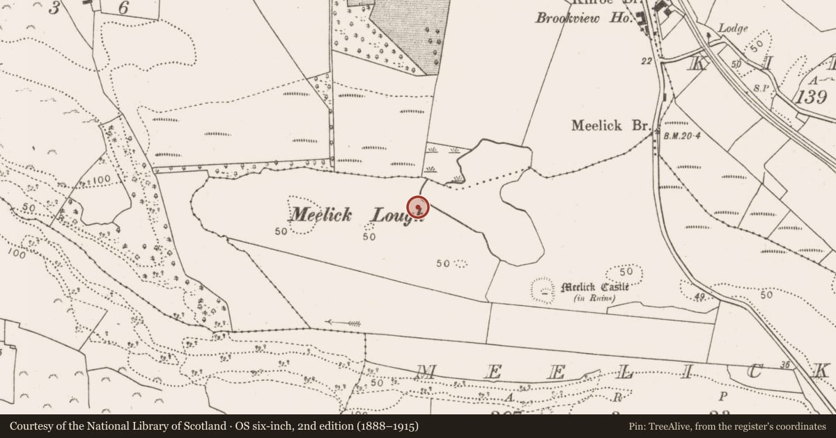 Ordnance Survey six-inch map, 2nd edition (1888–1915) covering the location of Burnt mound, Meelick, County Mayo, with a pin at the register's coordinates