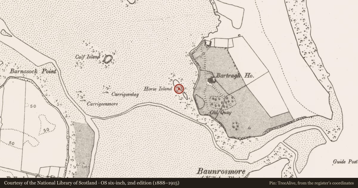 Ordnance Survey six-inch map, 2nd edition (1888–1915) covering the location of Midden, Oileán Na Gcapall, County Mayo, with a pin at the register's coordinates