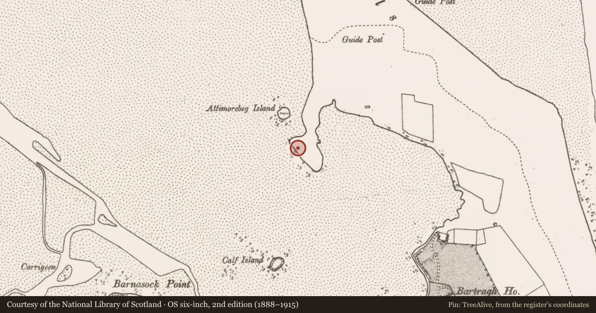 Ordnance Survey six-inch map, 2nd edition (1888–1915) covering the location of Field boundary, Bartragh Island, County Mayo, with a pin at the register's coordinates