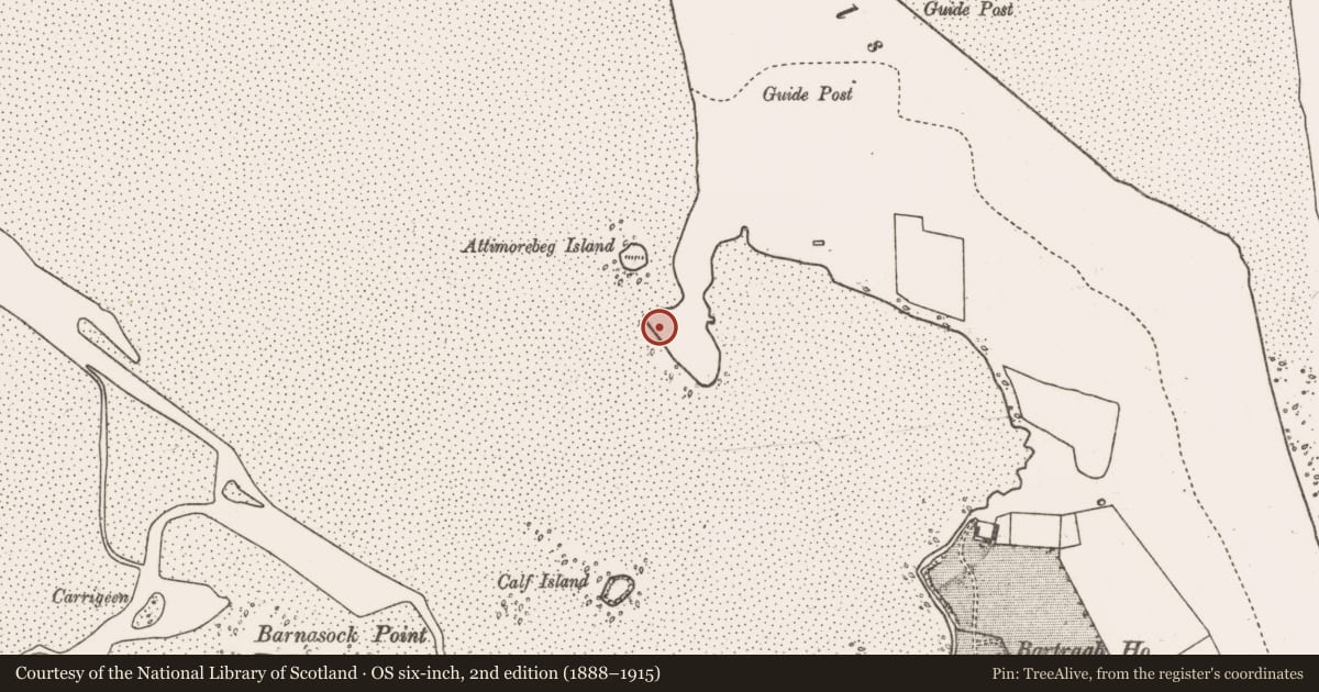 Ordnance Survey six-inch map, 2nd edition (1888–1915) covering the location of House - indeterminate date, Bartragh Island, County Mayo, with a pin at the register's coordinates