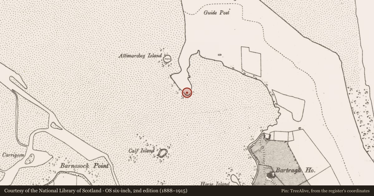 Ordnance Survey six-inch map, 2nd edition (1888–1915) covering the location of Hut site, Bartragh Island, County Mayo, with a pin at the register's coordinates