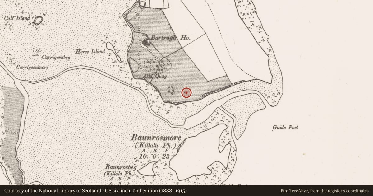Ordnance Survey six-inch map, 2nd edition (1888–1915) covering the location of Barrow - mound barrow, Bartragh Island, County Mayo, with a pin at the register's coordinates
