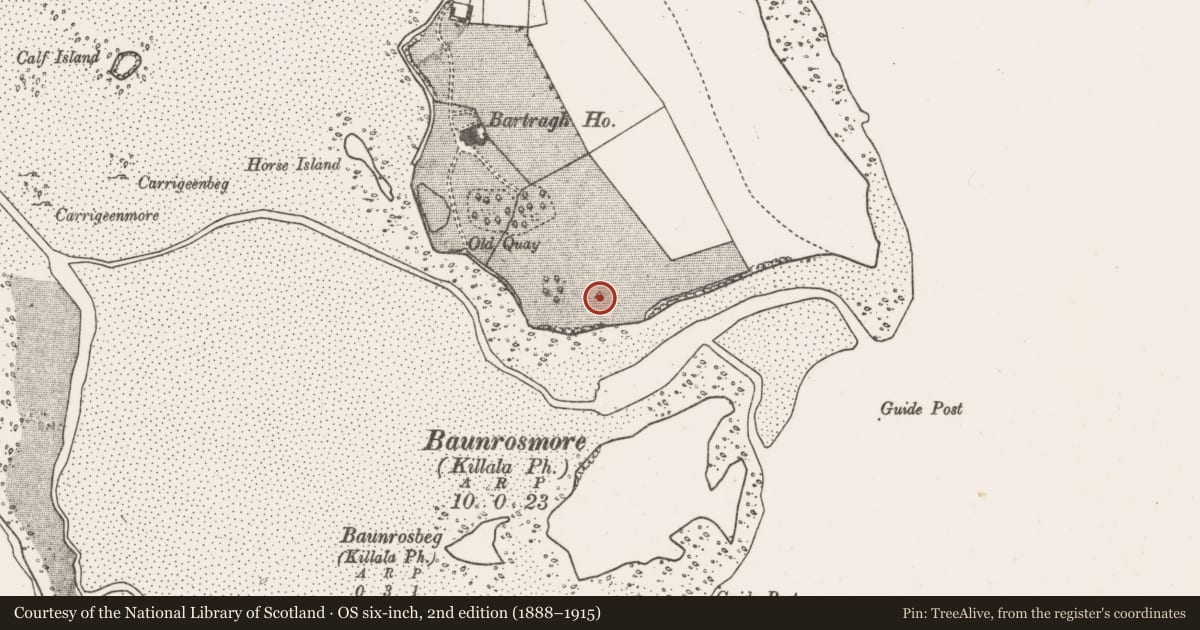 Ordnance Survey six-inch map, 2nd edition (1888–1915) covering the location of Rock art, Bartragh Island, County Mayo, with a pin at the register's coordinates