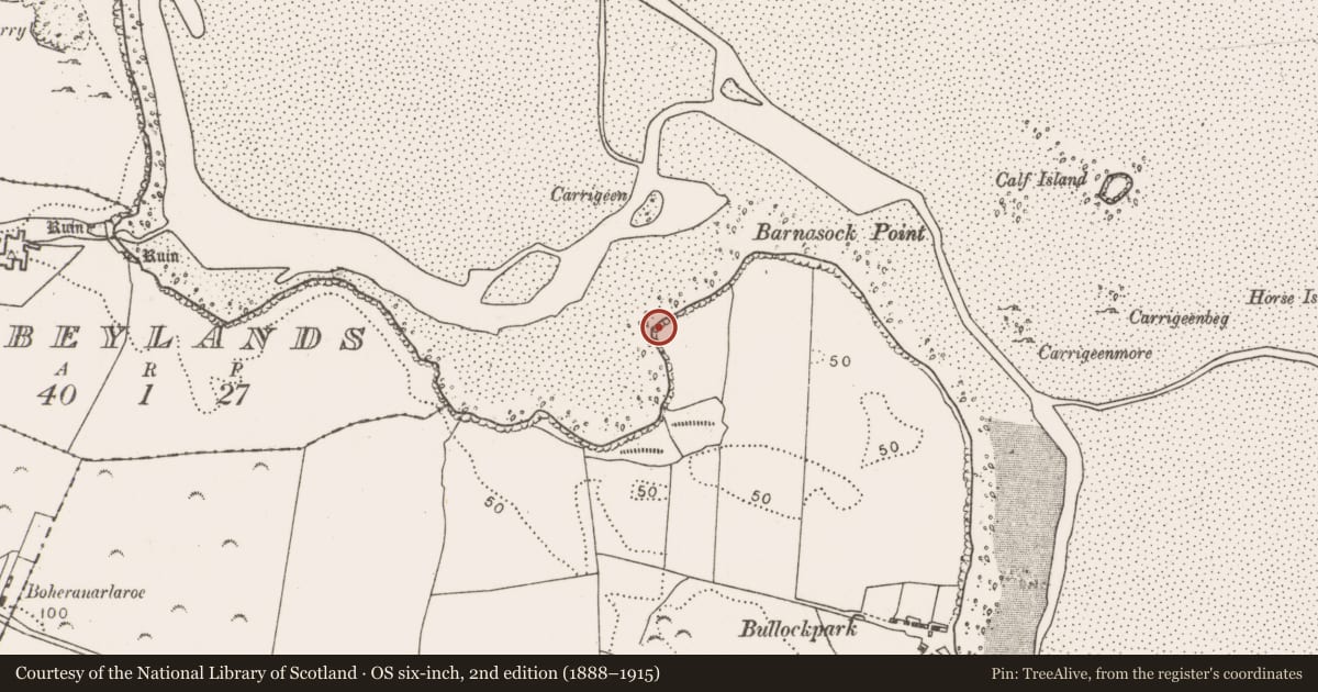 Ordnance Survey six-inch map, 2nd edition (1888–1915) covering the location of Midden, Rusheens, County Mayo, with a pin at the register's coordinates
