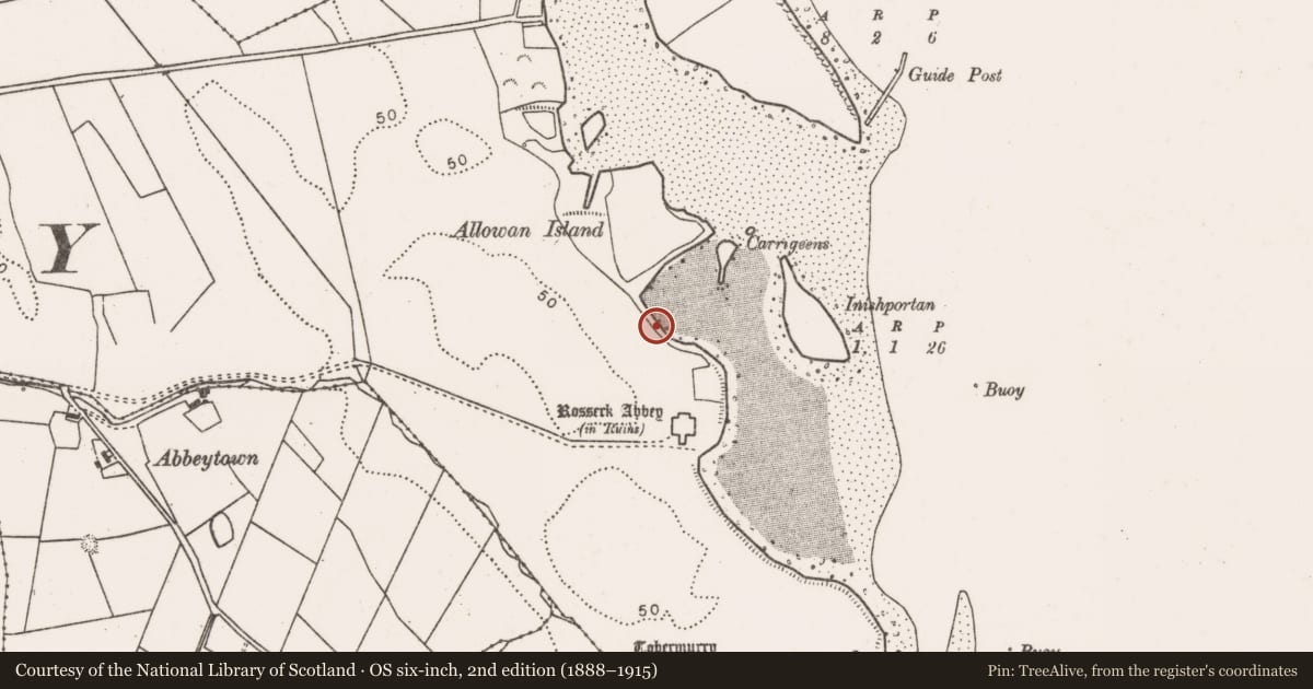 Ordnance Survey six-inch map, 2nd edition (1888–1915) covering the location of Midden, Rosserk, County Mayo, with a pin at the register's coordinates