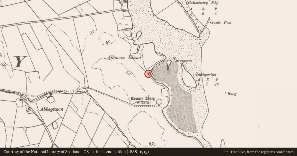 Ordnance Survey six-inch map, 2nd edition (1888–1915) covering the location of Midden, Rosserk, County Mayo, with a pin at the register's coordinates
