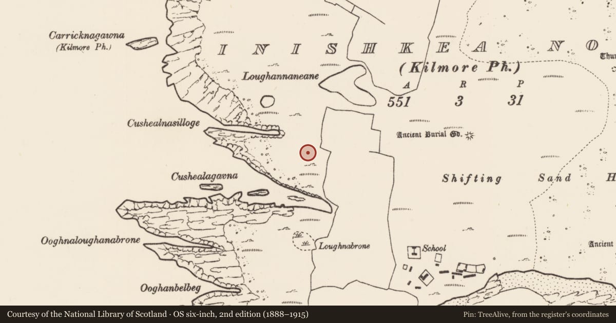 Ordnance Survey six-inch map, 2nd edition (1888–1915) covering the location of Enclosure, Inis Gé Thuaidh, County Mayo, with a pin at the register's coordinates