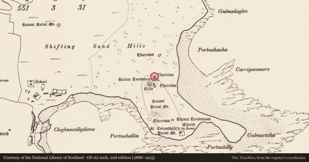 Ordnance Survey six-inch map, 2nd edition (1888–1915) covering the location of Cross-slab, Inis Gé Thuaidh, County Mayo, with a pin at the register's coordinates
