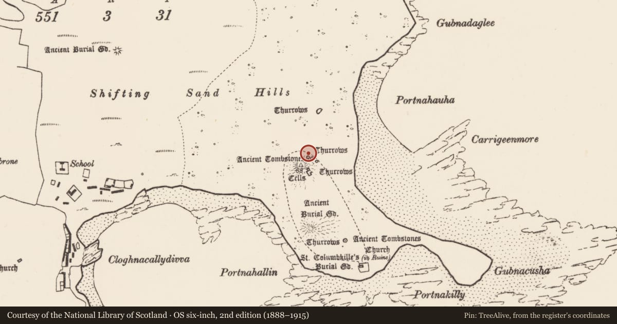 Ordnance Survey six-inch map, 2nd edition (1888–1915) covering the location of Cross-slab, Inis Gé Thuaidh, County Mayo, with a pin at the register's coordinates