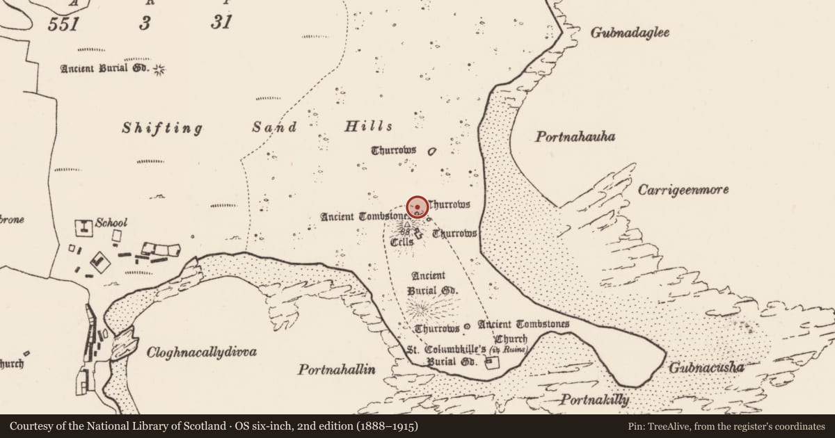 Ordnance Survey six-inch map, 2nd edition (1888–1915) covering the location of Cross-slab, Inis Gé Thuaidh, County Mayo, with a pin at the register's coordinates